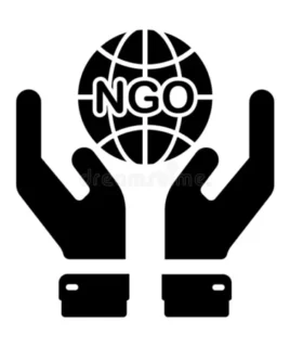 NGOs & Health-Focused Organizations
